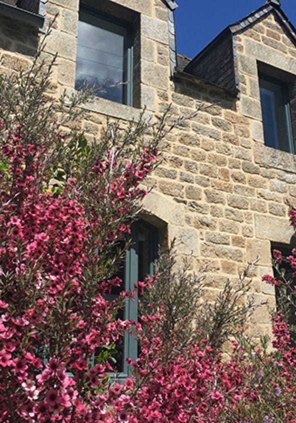 Buissons de Teatree en fleurs devant le gîte de charme 3 étoiles La Métairie 