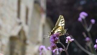 Gîte Côte de Granit Rose, gite confortable, beau gite cote