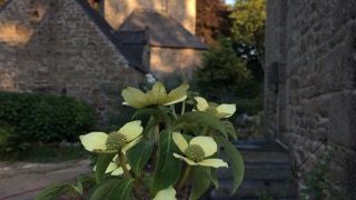 Gîte Côte de Granit Rose, gite confortable, beau gite cote