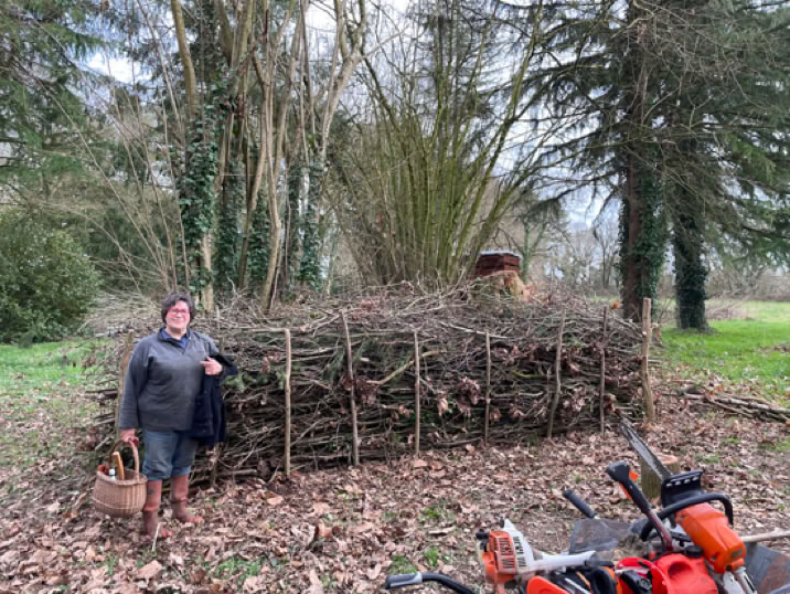 Une personne debout à côté d'un tas de branches empilées, une Haie sèche ou Haie de Benjes, tenant un panier. Une tronçonneuse rouge est posée au sol à proximité. Des arbres et des feuilles mortes entourent la scène.