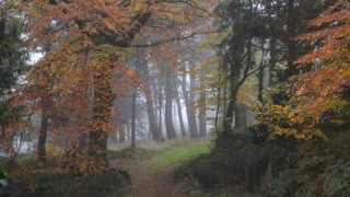 Gîte Côte de Granit Rose, gite confortable, beau gite cote