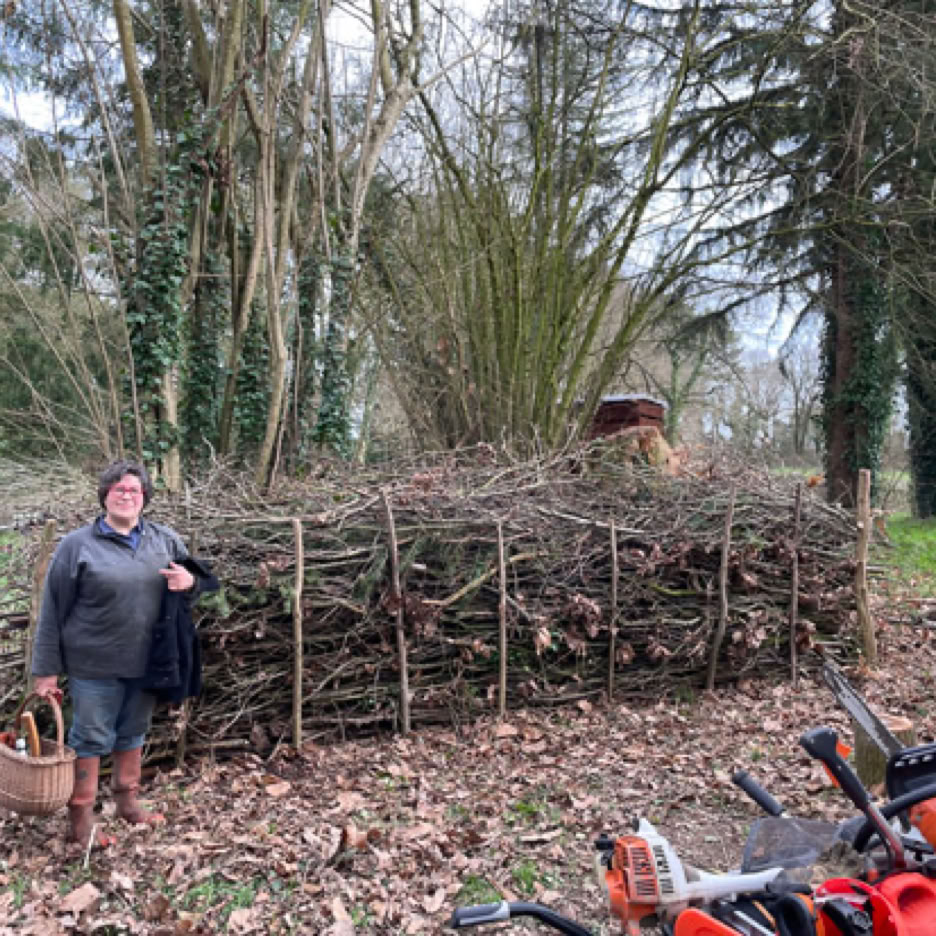 Une personne debout à côté d'un tas de branches empilées, une Haie sèche ou Haie de Benjes, tenant un panier. Une tronçonneuse rouge est posée au sol à proximité. Des arbres et des feuilles mortes entourent la scène.